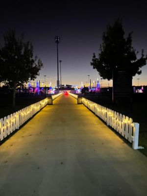 Oxford's Festival of Lights