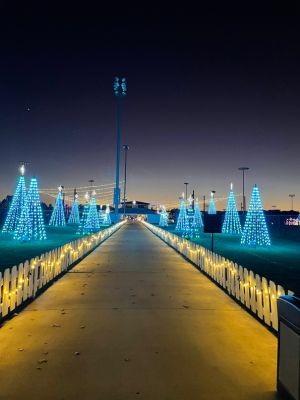 Oxford's Festival of Lights