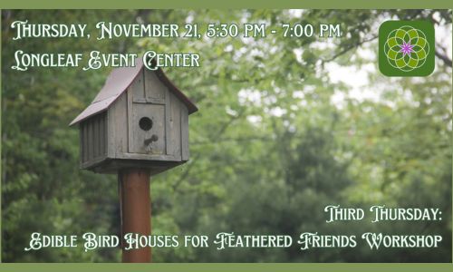 Third Thursday Edible Bird Houses for Feathered Friends