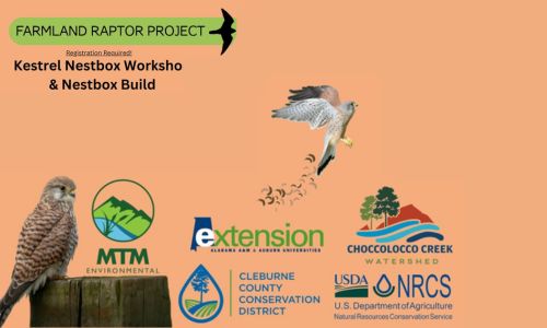 Farmland Raptor Project