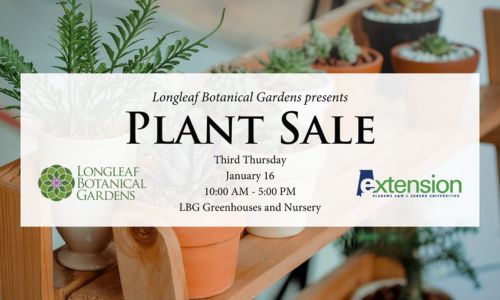 Plant Sale