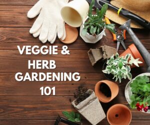Veggie & Herbs 101