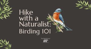 Birding 101 Spring Break Hike