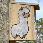 Spring Fun at the Alpaca Farm