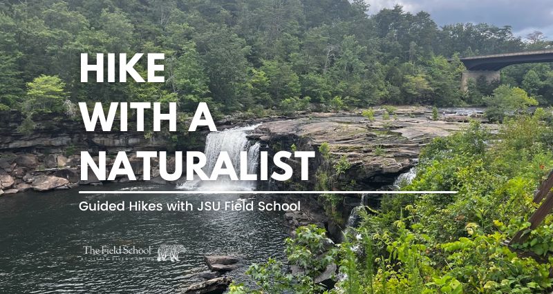 Hike With A Naturalist - Canyon Mouth Park Trail