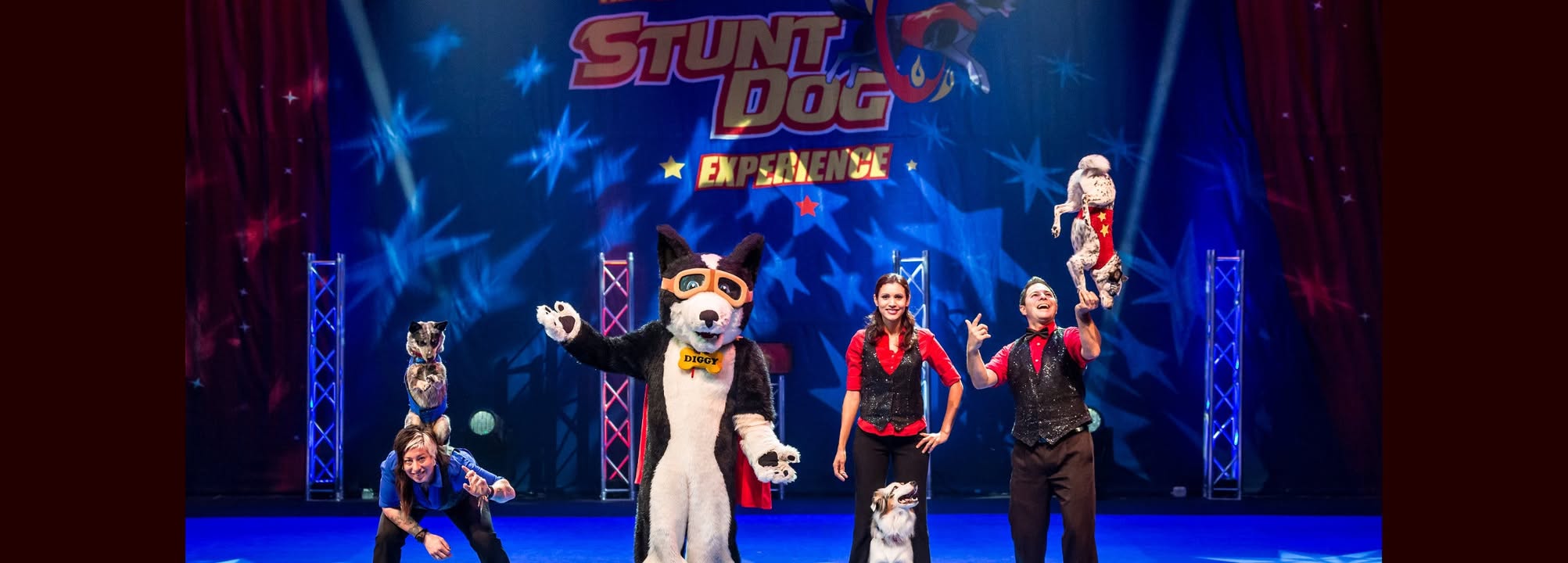 Stunt Dogs