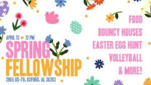 Spring Fellowship