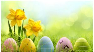 Easter Egg Hunt!!