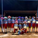 Pleasant Valley celebrates Tuesday after winning the Class 2A, Area 13 tournament at Pleasant Valley. (Submitted photo)