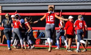 Area softball