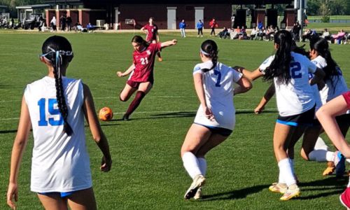 Donoho’s Anna Kate Wallace sizes up a shot against White Plains during Tuesday’s Calhoun County semifinals at Choccolocco Park. (Photo by Joe Medley/East Alabama Sports Today)