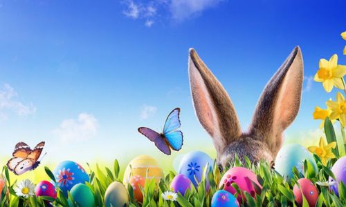 City of Jacksonville Easter Egg Hunt
