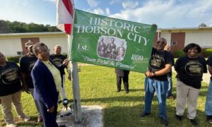 Hobson City Flag