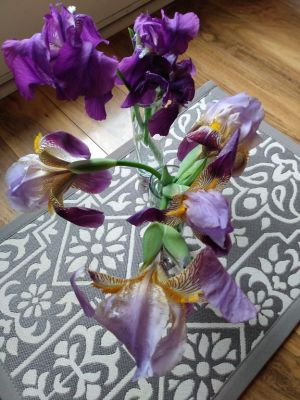 Iris Greenery in Landscapes