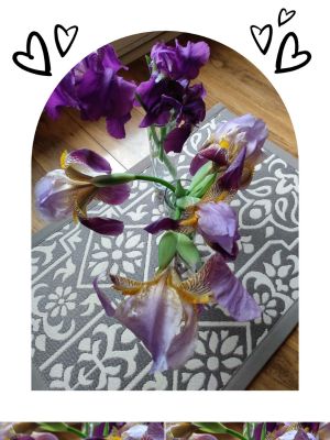 Iris Greenery in Landscapes