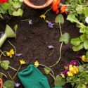 Master Gardener