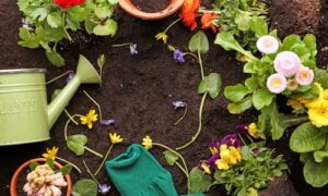 Master Gardener