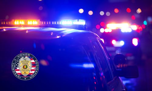 Piedmont Crime Stats