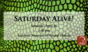 Saturday Alive!