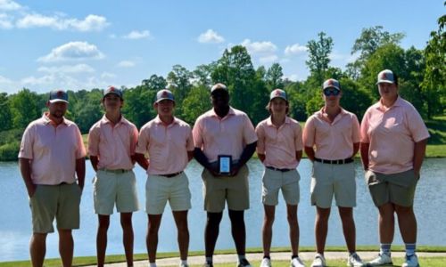 Alexandria’s boys won the Class 4A, Section 3 tournament Monday at Silver Lakes. (Submitted photo)