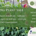 Spring Plant Sale