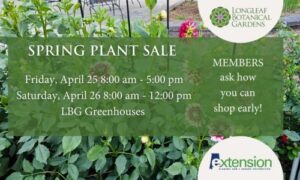 Spring Plant Sale
