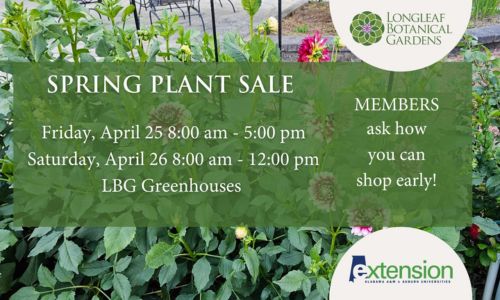 Spring Plant Sale
