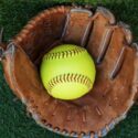 Spring Roundup