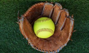 Spring Roundup