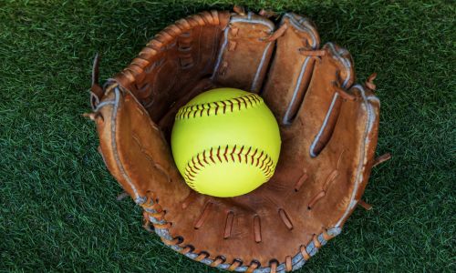 Spring Roundup