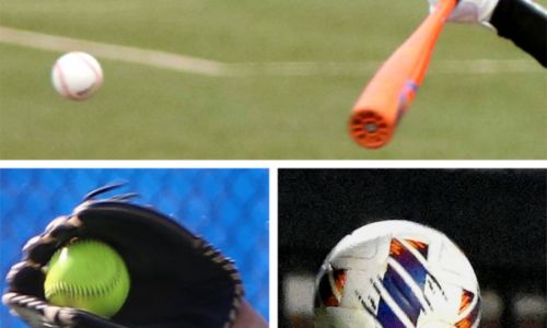 Spring Roundup