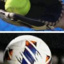 Spring roundup