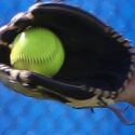 Spring roundup