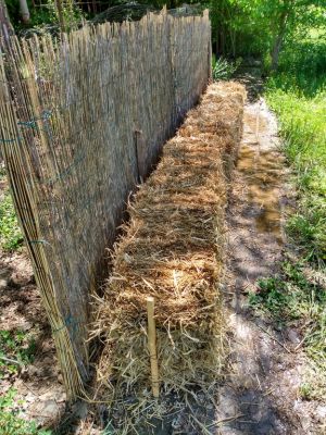 Straw Bale Gardening, Organic