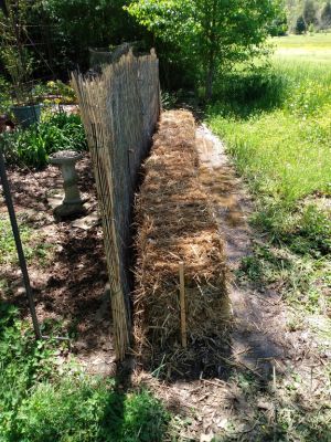 Straw Bale Gardening, Organic