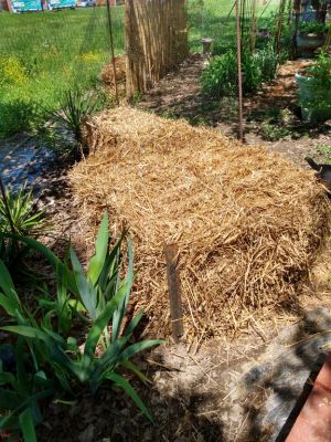 Straw Bale Gardening, Organic