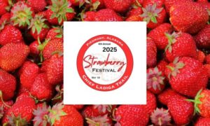 Strawberry Festival