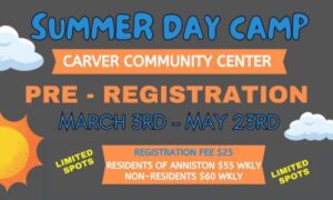 Summer Day Camp