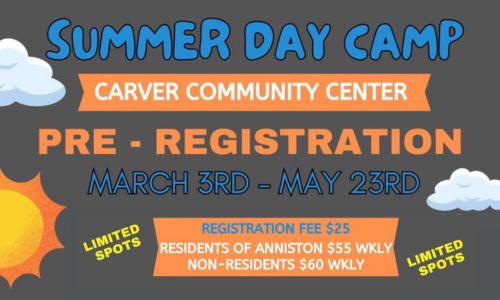 Summer Day Camp