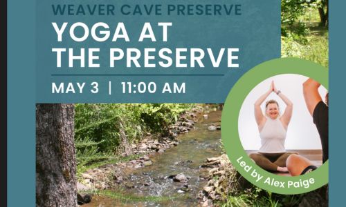 YOGa at Weaver