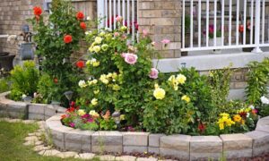 Calhoun County Beautification