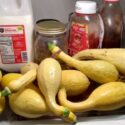 Crook Neck Squash Unique Uses