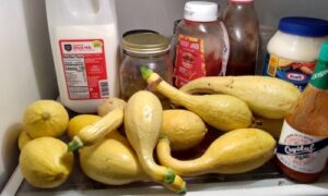 Crook Neck Squash Unique Uses