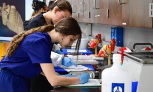 Gadsden State science students engage in hands-on learning during a lab session in the newly enhanced facilities supported by donor contributions.