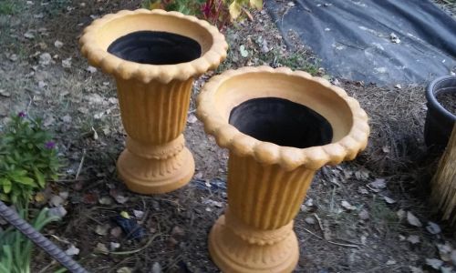 Outdoor Potted Plants
