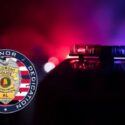 Piedmont Police Stats