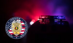 Piedmont Police Stats