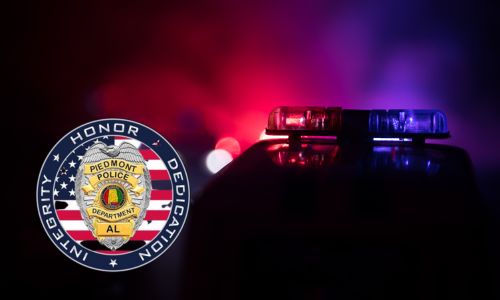 Piedmont Police Stats