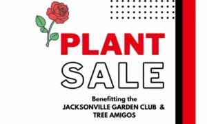 Plant Sale