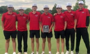 State golf